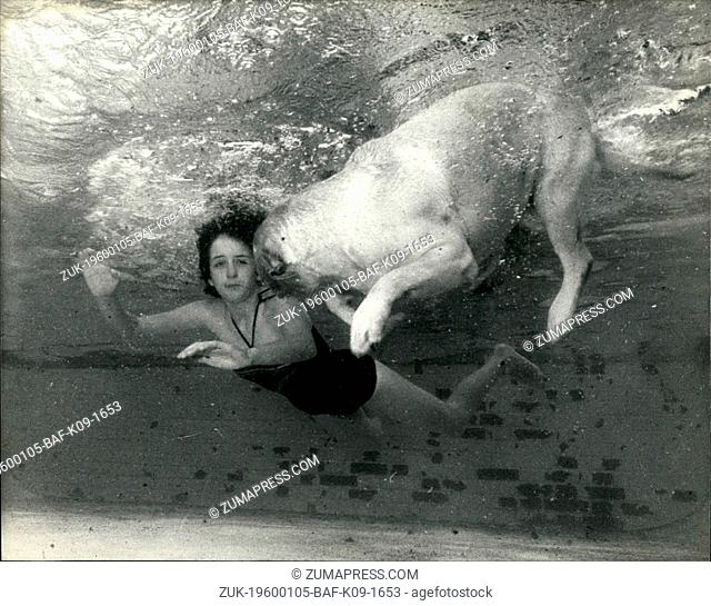 1968 - Honey the underwater dog: Honey, a three year old labrador retriever, along with her 14 year old owner, --fdy Britton