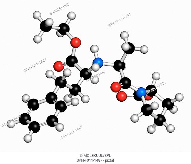 Enalapril high blood pressure drug molecule. Angiotensin Converting Enzyme (ACE) inhibitor used in treatment of hypertension