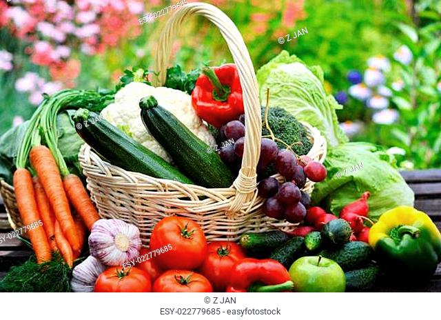 Fresh organic vegetables in wicker basket in the garden