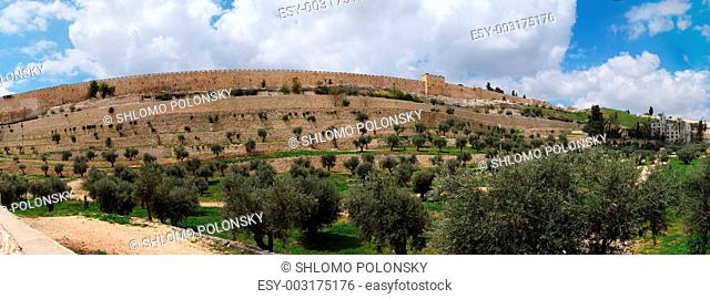 Panorama of Kidron Valley and the Temple Mount in Jerusalem