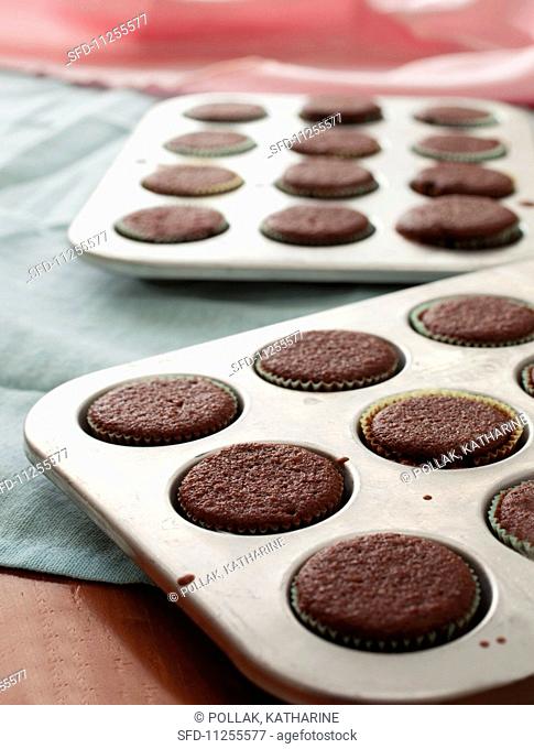 Chocolate cupcakes in a baking tin