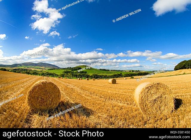 Straw Bales in a field in South Lanarkshire, Scotland near the village of Thankerton