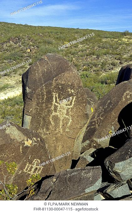 U S A New Mexico - Rock carvings, Three Rivers Petroglyph Site