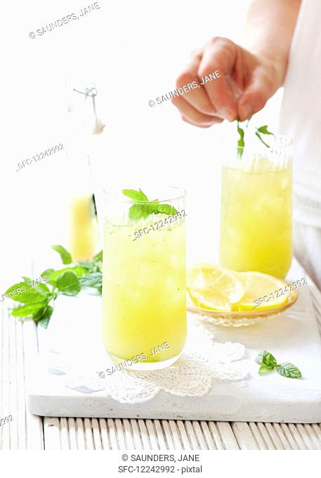 Apple lemonade being decorated with mint