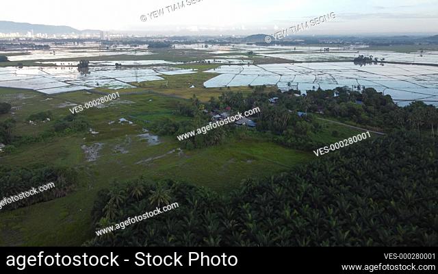 Aerial view fly over green Malays village in day