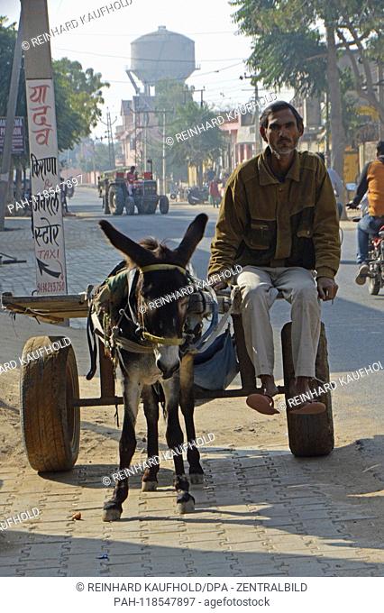 Street scene in Mandawa in North India - a man sits on a cart with a donkey, taken on 06.02.2019 | usage worldwide. - Mandawa/Rajasthan/Indien