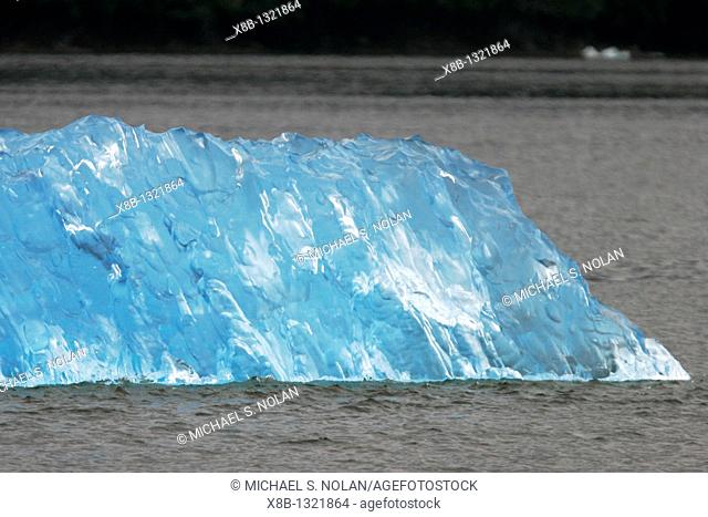 Calved iceberg from the Le Conte Glacier just outside Petersburg, southeast Alaska, USA  Le Conte Glacier is the southernmost tidewater glacier in North America