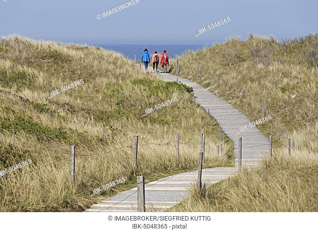 Way through the dunes to the beach, island Spiekeroog, East Frisia, Lower Saxony, Germany, Europe