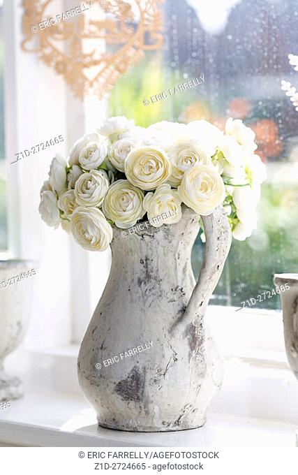 imitation white roses in jug at window. England UK