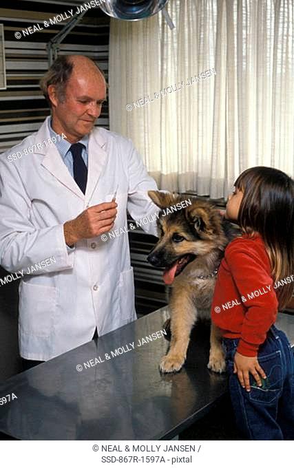 Male veterinarian examining a dog with a girl