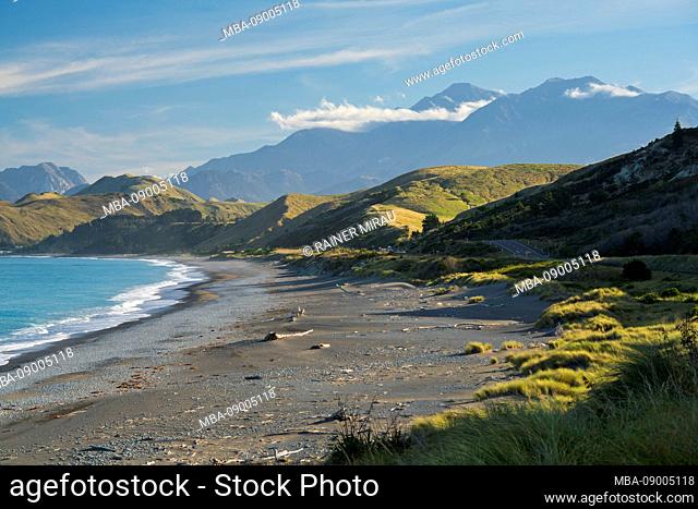 Coast at Clarence, Canterbury, South Island, New Zealand, Oceania