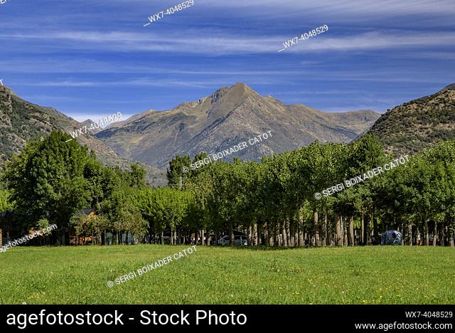 Green spring fields in Ribera de Cardós, in the Cardós valley. In the background, the Tuc del Caubo mountain (Pallars SobirÃ , Lleida, Catalonia, Spain