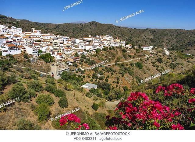 White village of Moclinejo, Axarquia mountains. Malaga province. Southern Andalusia, Spain. Europe