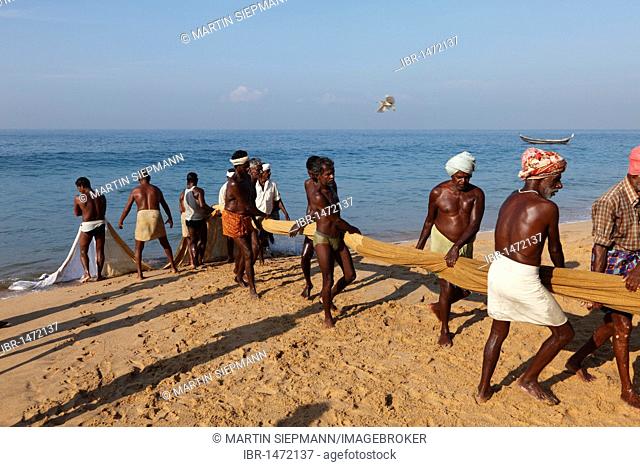 Fishermen pulling in a net, beach south of Kovalam, Malabar Coast, Malabar, Kerala, southern India, India, Asia