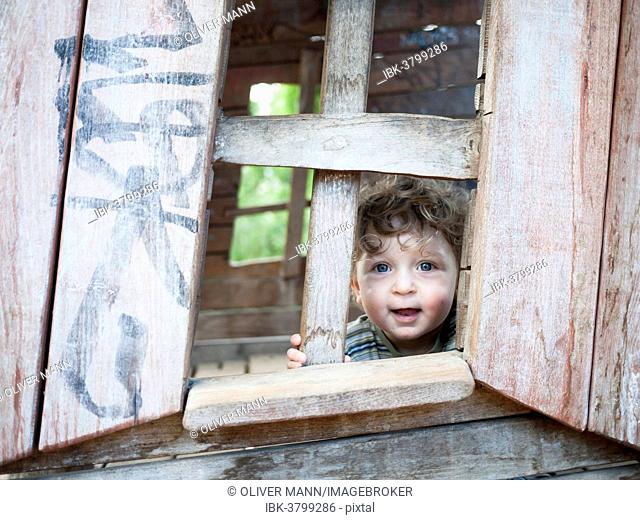 Toddler looking out of a playhouse, Germany