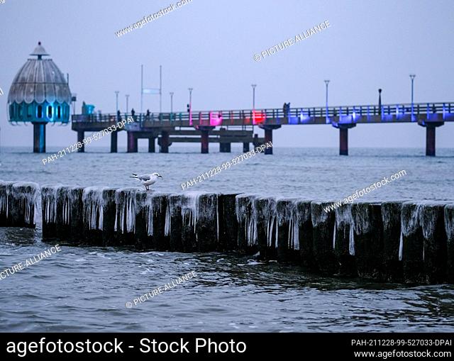 28 December 2021, Mecklenburg-Western Pomerania, Zingst: Colourfully illuminated in the evening at dusk is the pier on the beach of the Baltic Sea