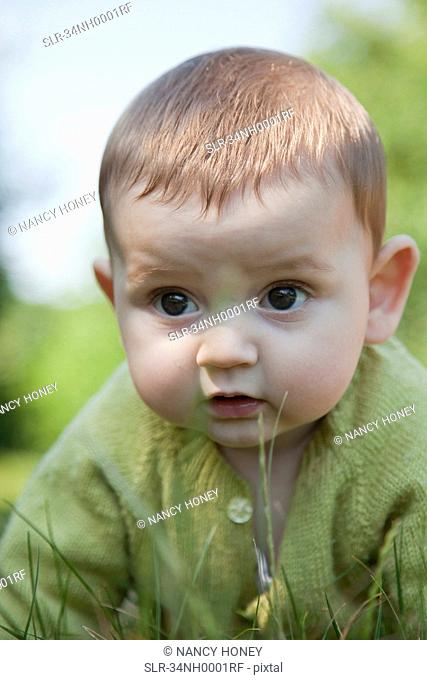 Baby boy crawling in grass