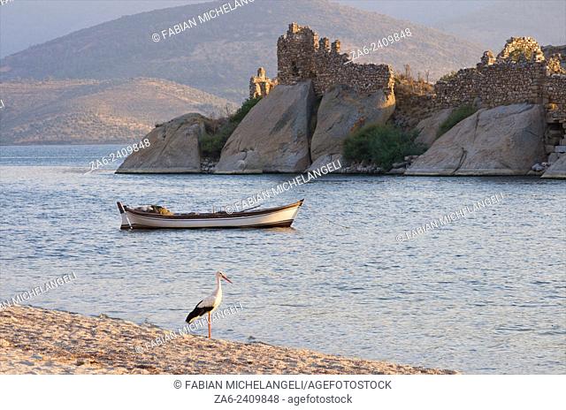 Ruins of Bizantine castle and monastery in the Kapikiri Islet in Lake Bafa with fishing boat and stork in the foreground. Mugla, Turkey