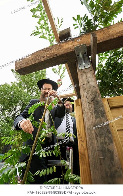 23 September 2018, Berlin: The rabbis Shmuel Segal and Yehuda Teichtal (l-r) decorate the leaf hut behind the Jewish educational centre. On 23.09