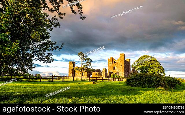 Large panorama with ruins of 12th century Bective Abbey with surrounding wall and large green tree Dramatic stormy sky at sunset. County Meath Ireland