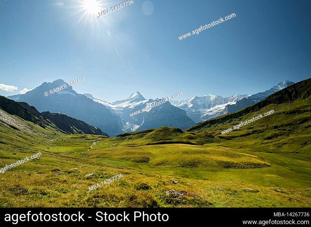 Schreckhorn, Grindelwald, Bernese Oberland, Switzerland