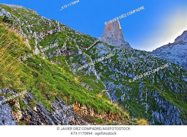 Pico Urriello (Naranjo de Bulnes). Picos de Europa National Park. Asturias. Spain