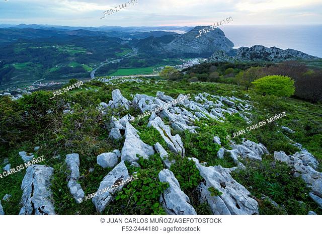 Beech forest, Cerredo mountain, Castro Urdiales, Cantabria, Spain, Europe