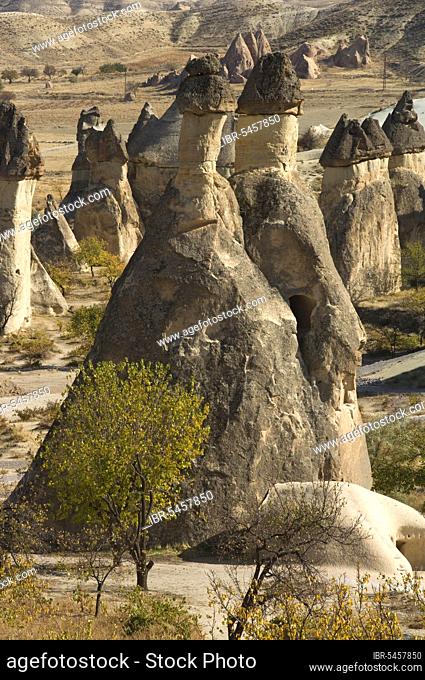 Tufa Formation and Fairy Chimneys, Göreme, Göreme National Park, Cappadocia, Turkey, Asia