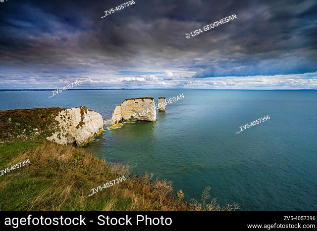 Old Harry Rocks, Isle of Purbeck, Dorset, England