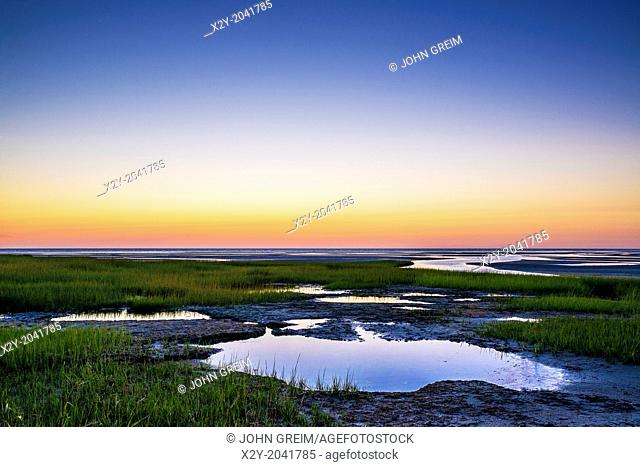 salt marsh tidal pools at low tide, Boat Meadow Beach, Eastham, Cape Cod, Massachusetts, USA