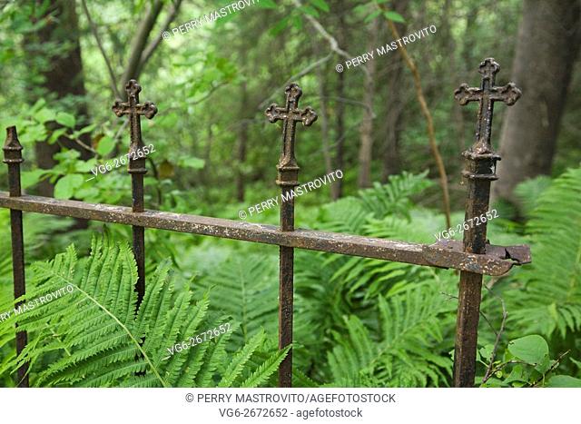 Close-up of an old rusted wrought iron metal cemetery fence with religious crosses and Pteridophyta - Ferns in private backyard garden in summer, Quebec, Canada