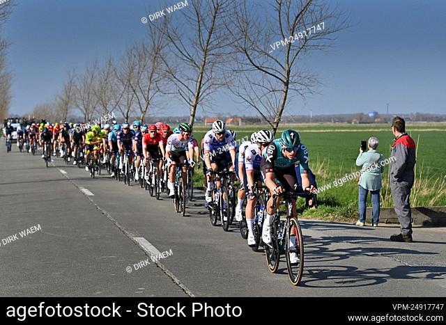 Illustration picture shows the pack of riders passing De Moeren during the men's elite race of the 'Classic Brugge-De Panne' one-day cycling race, 207