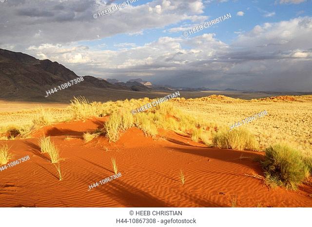 Sand Dunes, Dunes Lodge, Wolwedans Lodge, Namib Rand Nature Reserve, Hardap Region, Namibia, Africa, Travel, Nature