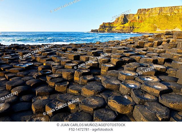 The Giant's Causeway  World Heritage Site  Antrim County, Northern Ireland, Europe
