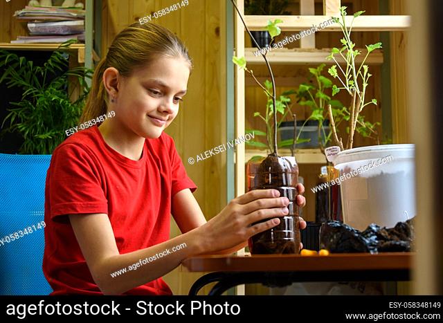 A girl in a country house setting transplants seedlings of garden plants into plastic bottles