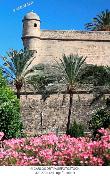 Partial view of the ancient wall surrounding the city of Palma de Mallorca, Spain, Europe