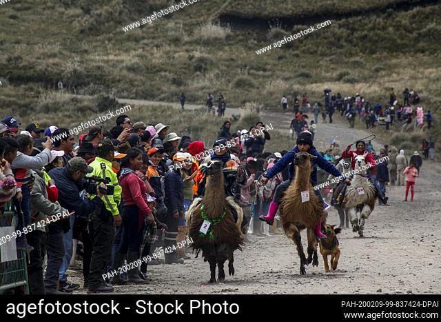 08 February 2020, Ecuador, Quito: Two llama riders fight for the first place in their category during the race, in which 25 boys and girls participated