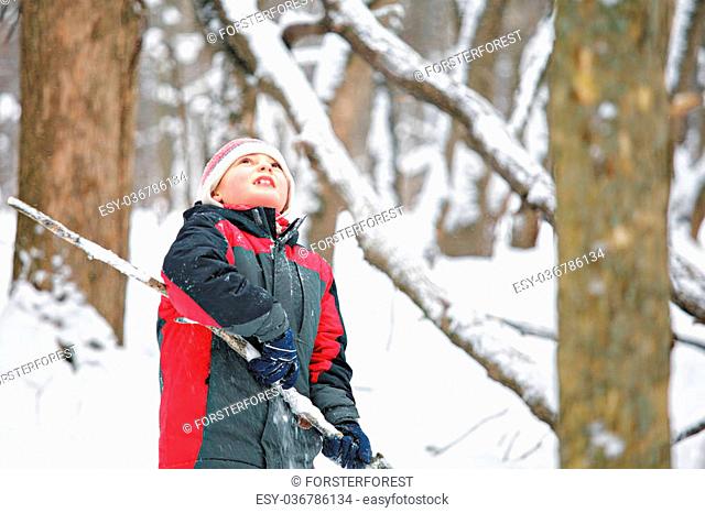 Boy with stick looking up in winter forest