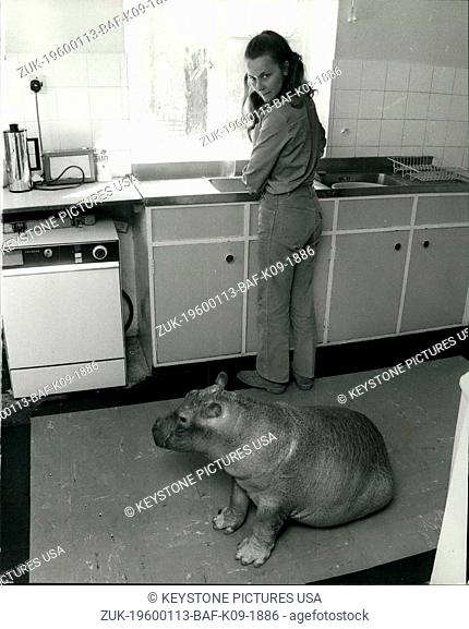 Mar. 31, 2012 - A hippo in the house : Most women will put up with their children bringing home strange faces and assorted play friends