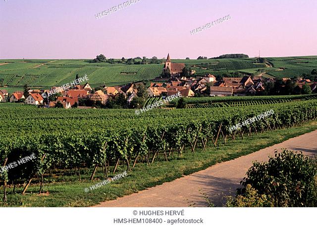 France, Bas-Rhin (67), Blienschwiller village in the middle of the vineyards