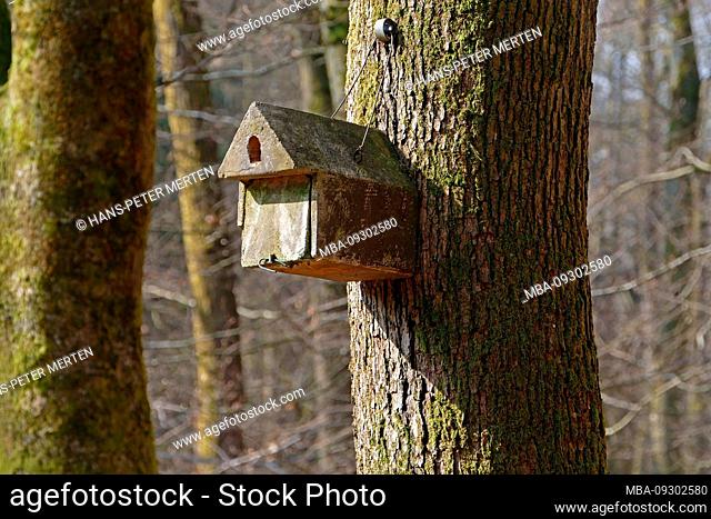 Nesting box in the forest