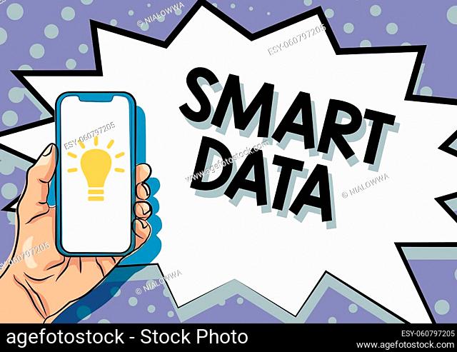 Text showing inspiration Smart Data, Business approach digital information that is formatted for further consolidation Displaying Important Informations