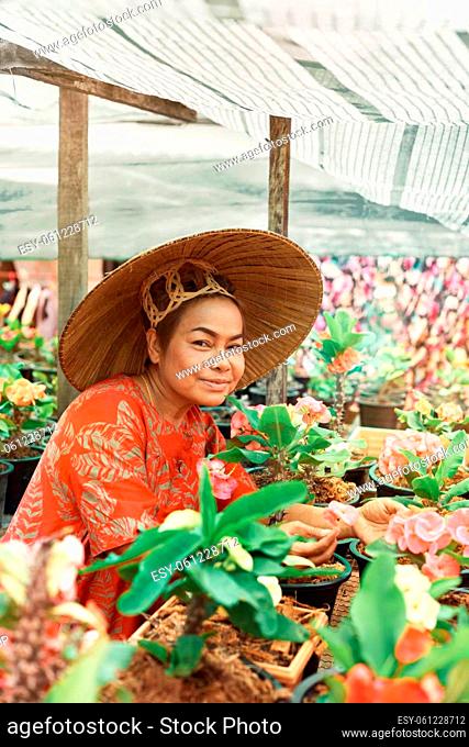 Happy asian woman with Vietnamese straw hat potting flowers in the garden. Small business concept. Colorful potted flowers Euforbia Spurges bring lucky energy...