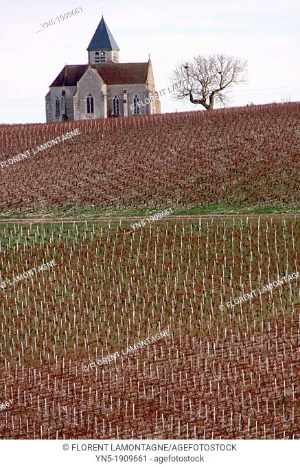 Tonw of France, Burgundy, Yonne, Préhy and its famous church lost in the vineyards
