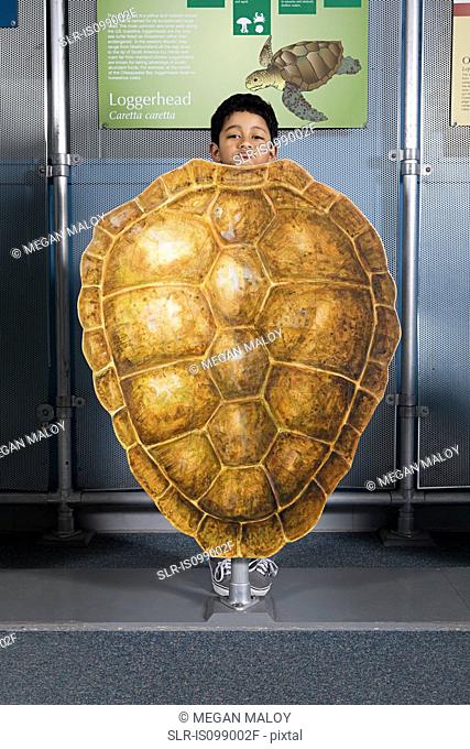 Boy standing behind loggerhead sea turtle shell