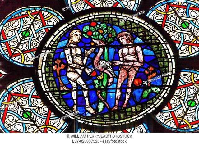 Adam Eve Stained Glass Notre Dame Cathedral Paris France. Notre Dame was built between 1163 and 1250AD