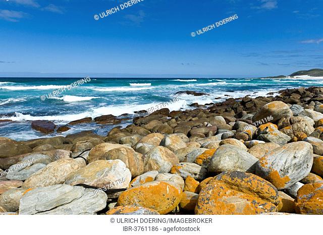 Coastline, Cape of Good Hope Nature Reserve, Western Cape, South Africa