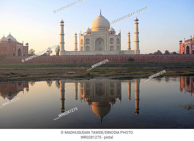 Reflection of Taj Mahal Seventh Wonders of World in Yamuna river , Agra , Uttar Pradesh , India UNESCO World Heritage Site