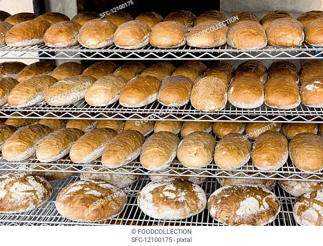 Loaves of white bread sprinkled with poppy seeds on shelves in a bakery