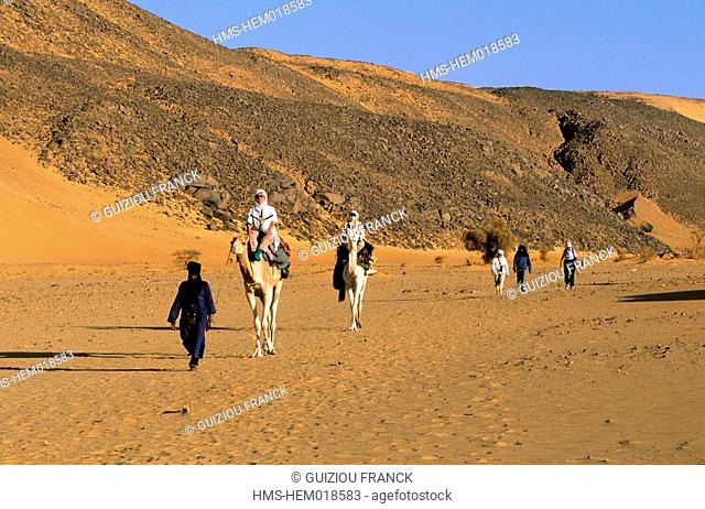 Niger, Sahara, Tenere desert, camel ride to the Adrar Chiriet